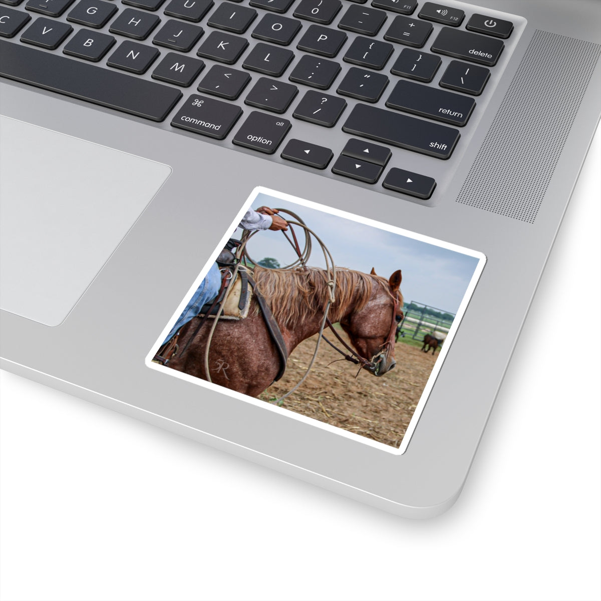 Ranchy Stickers