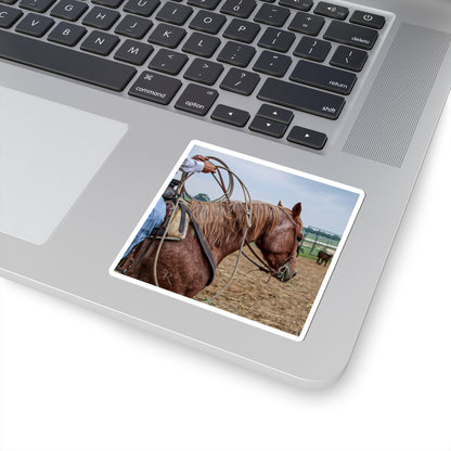 Ranchy Stickers