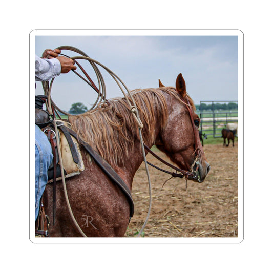 Ranchy Stickers