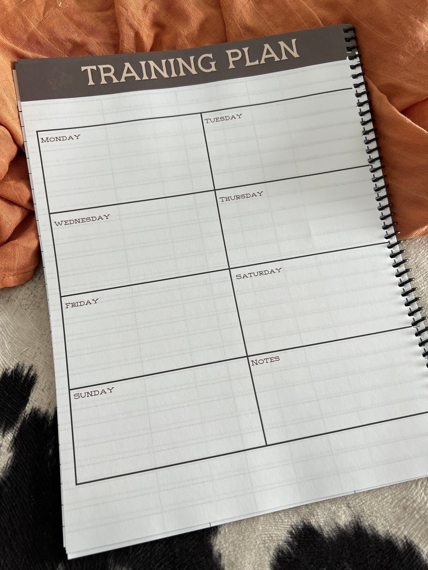 Saddle Bronc Rodeo Record Book