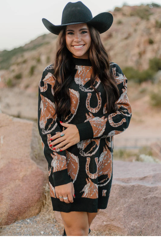 THE RUIDOSO SWEATER DRESS
